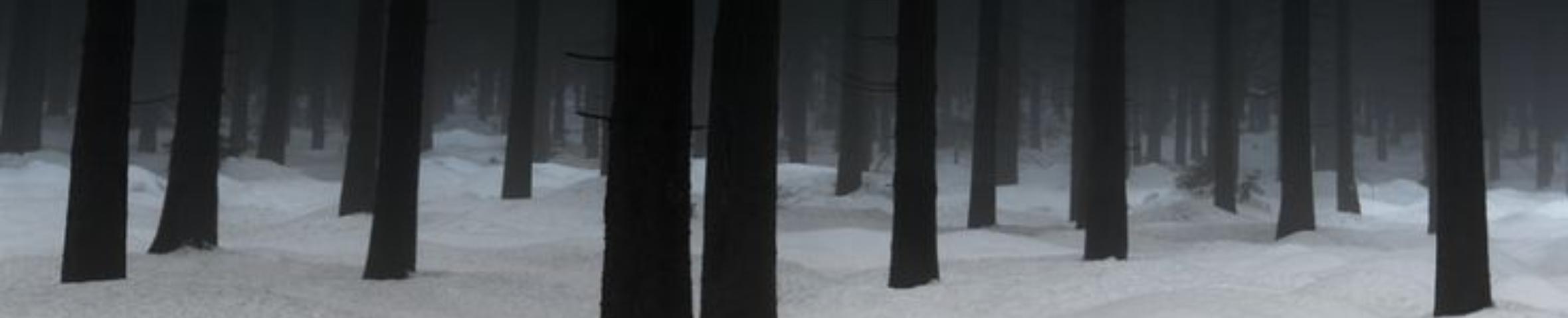 Traktrain banner for @lock