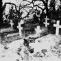 sickwrath  - sick love (x dustbin)