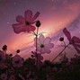 Valleystar - mystery