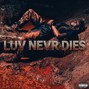 prodbylabus - Destroy Lonely x Ken Carson, "LUV 4 YA" type jawn ✧ LUV NEVR DIES ✧
