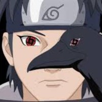 dreex