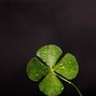 MonBeats - The Greatest Luck