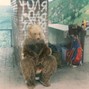 pugwardd - starz