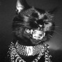 Tanerbeatz - [FREE] Dark Hard Trap Type Beat - "RUTHLESS"