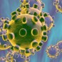 Ari-Mo - Coronavirus