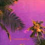 vsav - flacko 