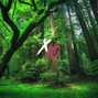 X10 - THE JUNGLE