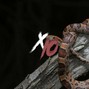 X10 - SNAKES