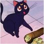 ESTORVO BEATS - LATENIGHTBLUNTZ
