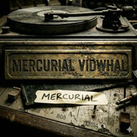 Mercurial Vidwhal