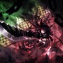 shinmi - wanderlust. 148bpm Dmaj 453hz (oneeyed3ad & shinmi)