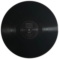 iaanisc0ol