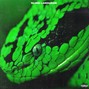 PlxceTheDon - Slime Lizard