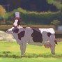 etiquette - cows