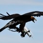 NRGU MANE  - DRONE 2
