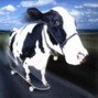waugyyy - vybeJersey