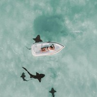prod.divedeep