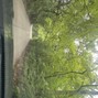 Kwill' - Beauty