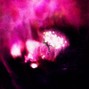 leackim.mlk - ~ LE_CIEL_EST_ROSE_CE_SOIR ~