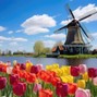 AURAMAXXER2015 - Welcome to Holland (Holland type beat)