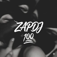 zapdj100