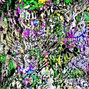 cursvs - appetite @cursvs