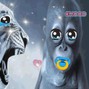 cursvs - peace @cursvs