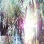 cursvs - lotus @cursvs