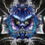 cursvs - copycat @cursvs