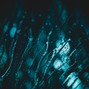 Nado! - bobble wounce 1