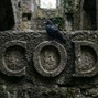 ZAGH - COD
