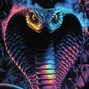 ShadyB - King Cobra