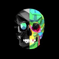 skullonthebeat