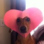 johnlouiseville0114 - Give U All My Heart