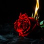 HARMAN BEATS - TRUE LOVE