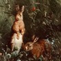 unkin - wild