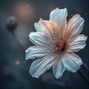 mazzyanne777 - Calm space 3
