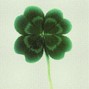Bailey Daniel - LUCKY