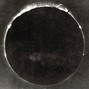 Bailey Daniel - eclipse