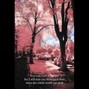 brycemindme - 90s Boom bap x The whole world was pink