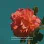 brycemindme - SUMMER TIMES