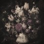 nettle estate - dramatic aesthetics