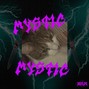 Bplr404 - MYSTIC