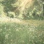 GFM - You're Lost
