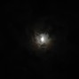 Exit - Moon Light