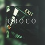 Inanimate.  - Croco