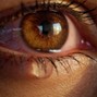 Niorix - deine-Augen