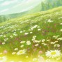 Pure Anxiety - field of flowers