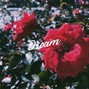 Trippy - Dream | J Cole Type Beat 2019