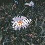 Trippy - Chillin | J Cole x Chance The Rapper Type Beat 2019